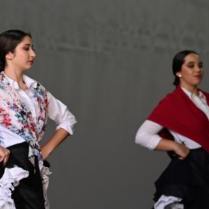 Gala de Folclore andaluz