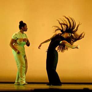 X Muestra coreográfica andaluza.  Nivel 1