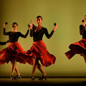 X Muestra coreográfica andaluza.  Nivel 2