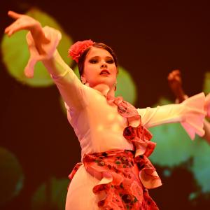 Talleres de Español y Flamenco (nivel 1)