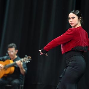 Gala Flamenco