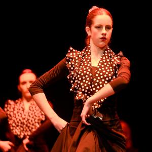 Día del Flamenco.  Representación 1