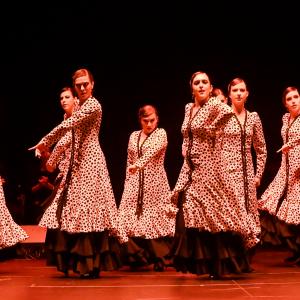 Día del Flamenco.  Representación 1