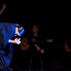 Día del Flamenco.  Representación 2