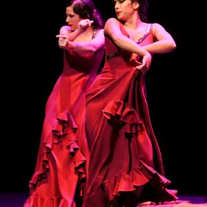 Día del Flamenco.  Representación 2