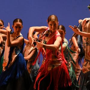 Talleres Danza Española