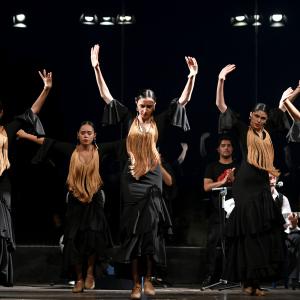 Muestra Flamenco
