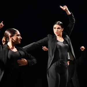 Muestra Flamenco
