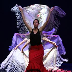 Festival de Danza y Flamenco (ensayos)