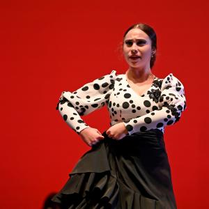 Gala Flamenco