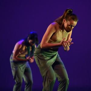 Talleres Coreográficos, Danza contemporánea (ensayo)