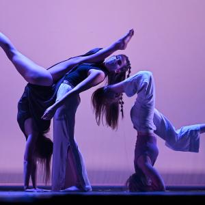 Talleres Coreográficos, Danza contemporánea (actuación)