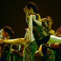 Concurso coreográfico enseñanzas profesionales. Nivel 1