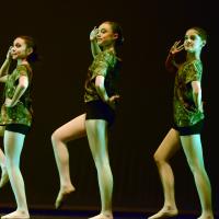 Concurso coreográfico enseñanzas profesionales. Nivel 1