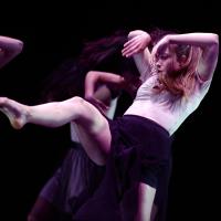 Talleres Danza Contemporánea (Pase previo)