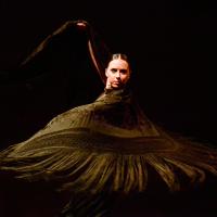 Flamenco y cultura