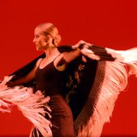 Festival de Danza y Flamenco Conchi Cabrera