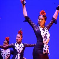 Festival de Danza y Flamenco Conchi Cabrera. 2-parte (flamenco)