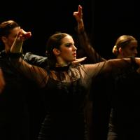 IX edición del festival Flamenco y Cultura: De la Raíz a la Vanguardia