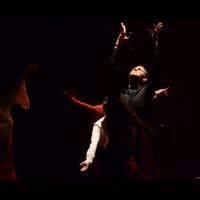 Concurso de coreografías: Español y flamenco.. Nivel II