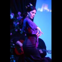 Espectáculo Flamenco en Granada: La Alboreá
