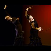 Festival de Danza y Flamenco