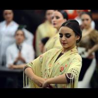 Flamenco y Cultura 2017