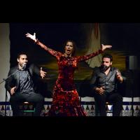 Jueves flamenco en La Platería