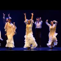 Proyecto Flamenco