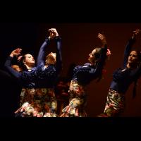 Concurso coreografías 1-parte. Español y flamenco