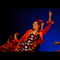 Talleres de Baile flamenco 