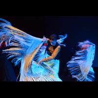 Talleres de Baile flamenco 
