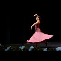 Festival de danza y flamenco