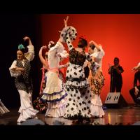 Festival de danza y flamenco, 2-parte (flamenco)