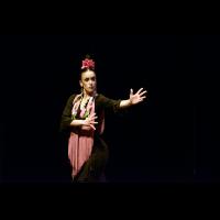 Festival de danza y flamenco, 2-parte (flamenco)