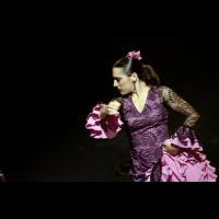 Micro Flamenco