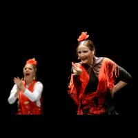 Proyecto flamenco