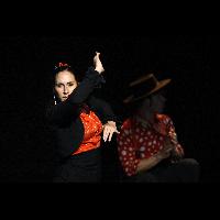 El flamenco en ansí