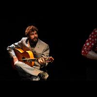 El flamenco en ansí