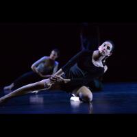 Talleres de Danza Contemporánea (ensayo general)