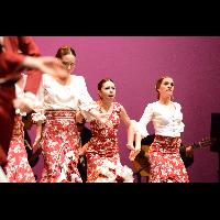 Talleres de Baile flamenco