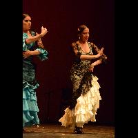 Talleres de Baile flamenco