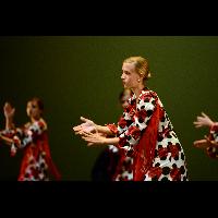 Talleres de Baile flamenco (ensayo general)