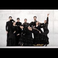 Proyecto flamenco (promoción)