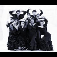 Proyecto flamenco (promoción)