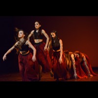 Muestra coreográfica andaluza: Danza contemporánea