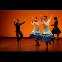 Muestra coreográfica andaluza: Danza española