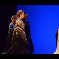 Muestra coreográfica andaluza: Balie flamenco