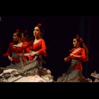 Conservatorio de danza: Talleres de Baile Flamenco