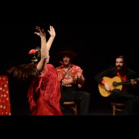 El flamenco es ansí